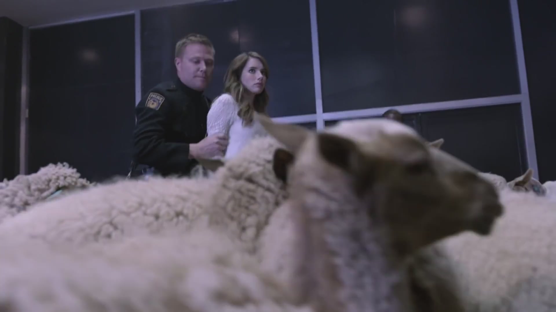 ERO-D079.jpg