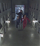 ERO-S511.jpg
