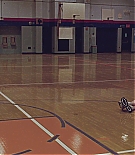 ERO-TWS071.jpg